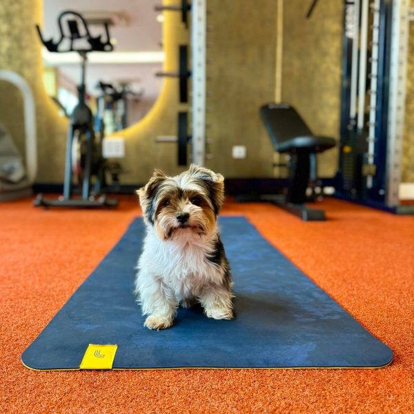 IMG_5863 Gimnasio qboutique Madrid
